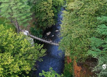 კურორტი სულორი